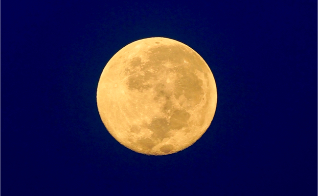 shutterstock_1144262297