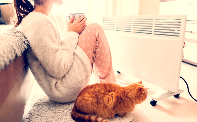 shutterstock_1292769304