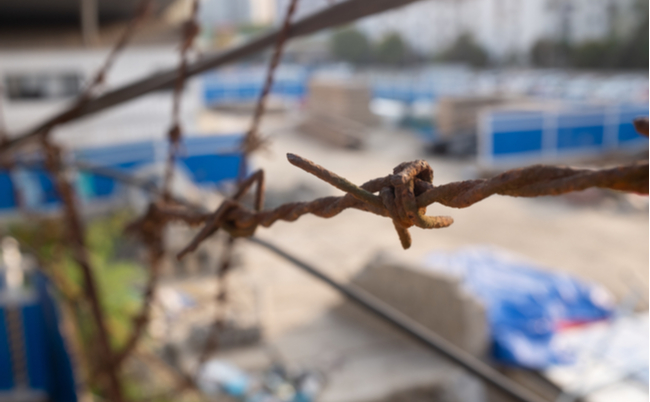 shutterstock_1368913667