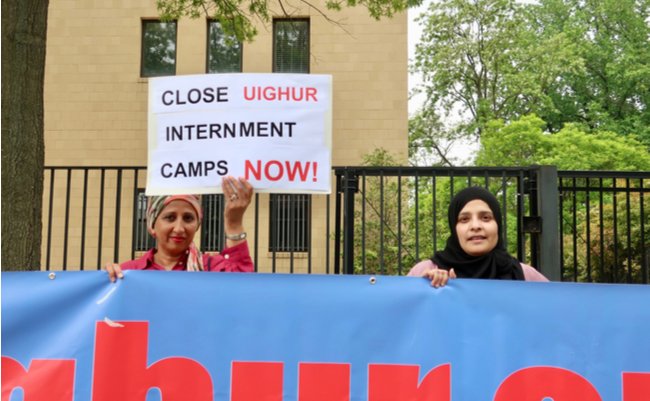 shutterstock_1388613473