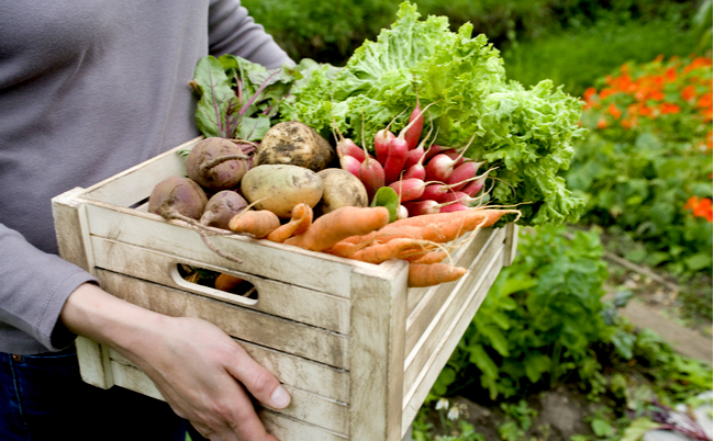 shutterstock_146684621