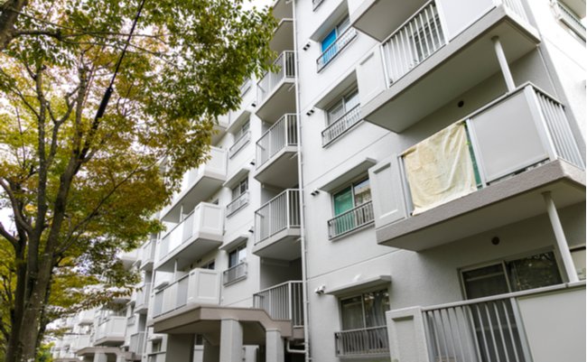 shutterstock_1577557300