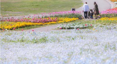 shutterstock_1582973458