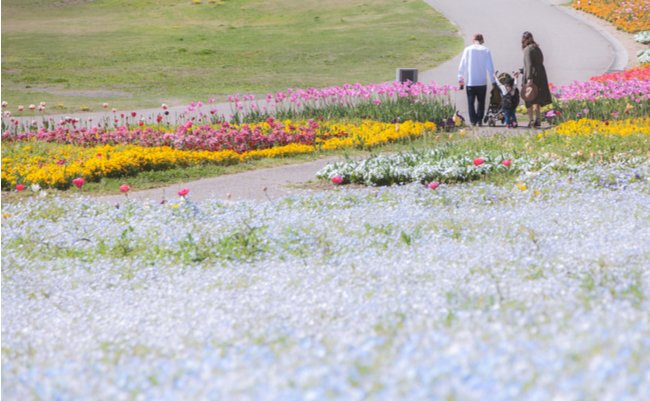 shutterstock_1582973458