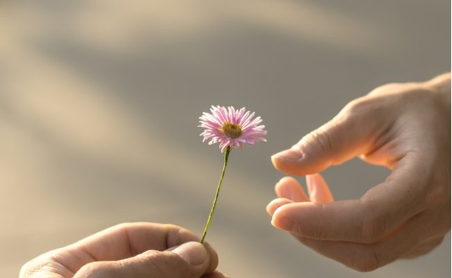 shutterstock_333702980