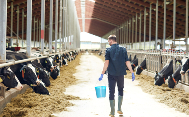 shutterstock_562305427