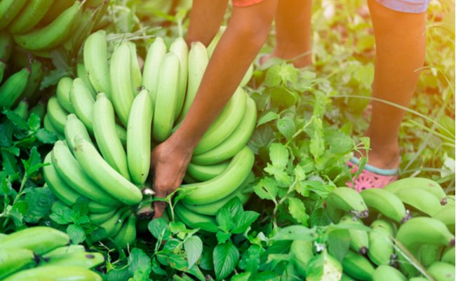 shutterstock_653119639