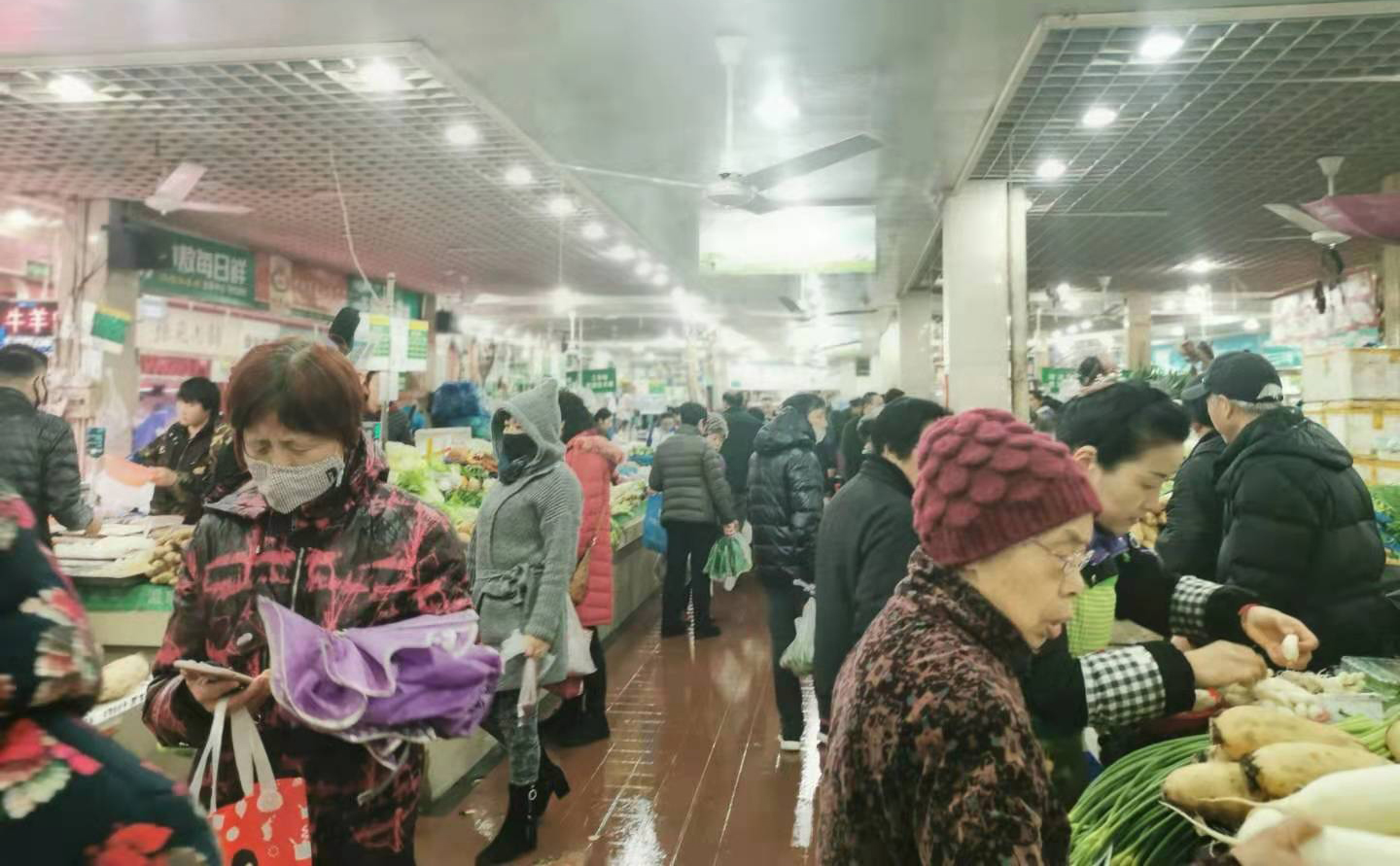 e6be1851a22911dad434974f65f4edc