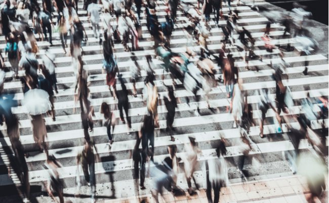 shutterstock_1155504487