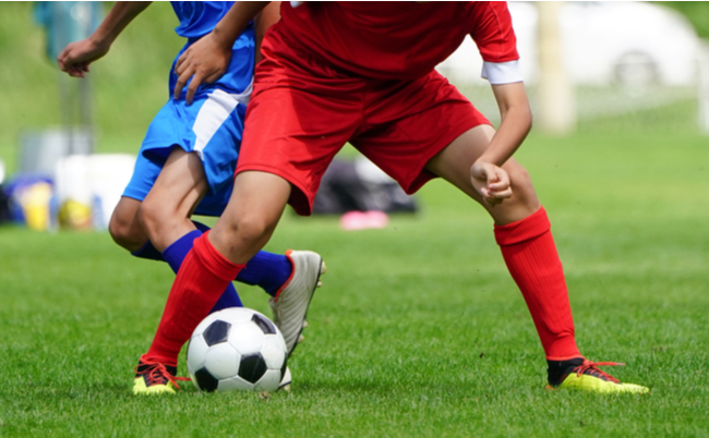 shutterstock_1444555508