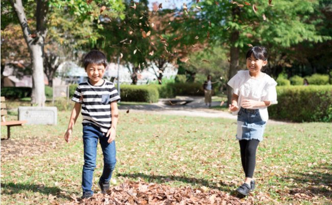 shutterstock_1555258787