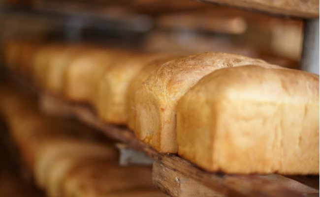 shutterstock_85668673