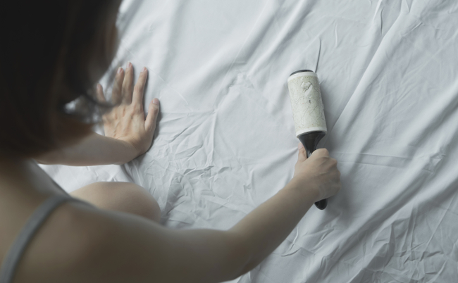 shutterstock_1126788479