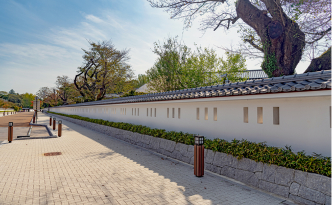 shutterstock_1618073449