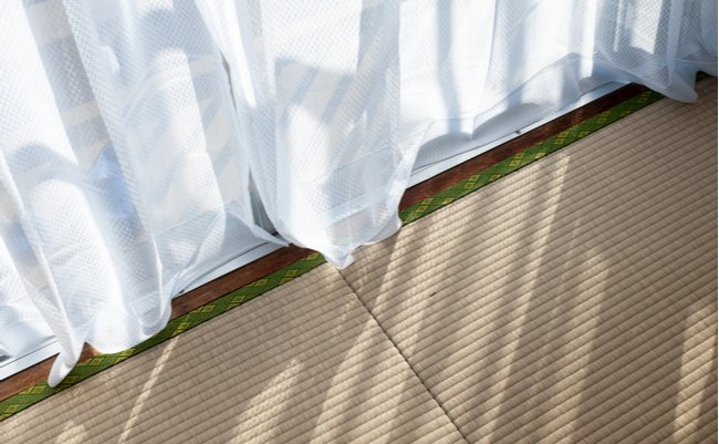 shutterstock_1635843226