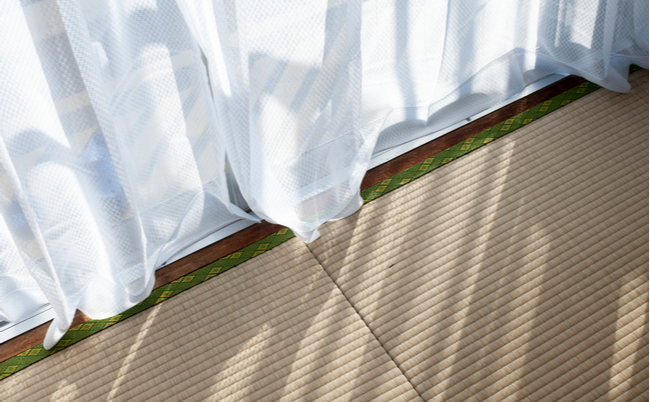 shutterstock_1635843226