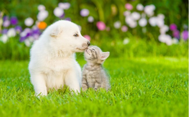 shutterstock_329141111