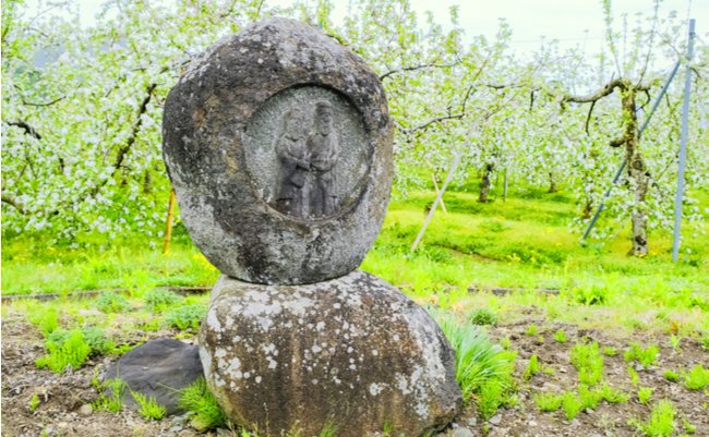 shutterstock_639863065