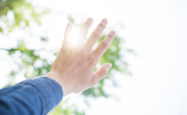 shutterstock_650512321