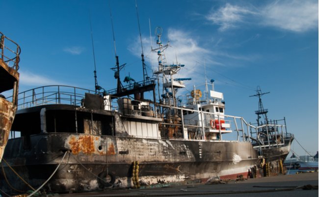 shutterstock_1508416541