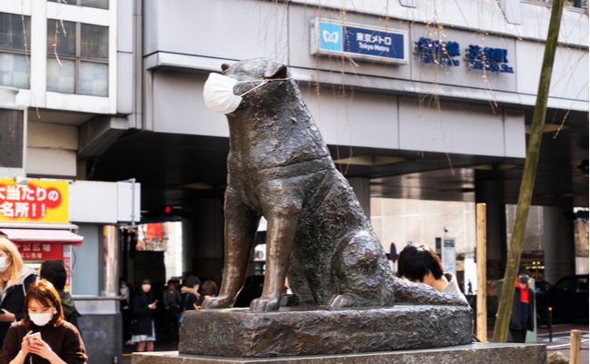 shutterstock_1673670064