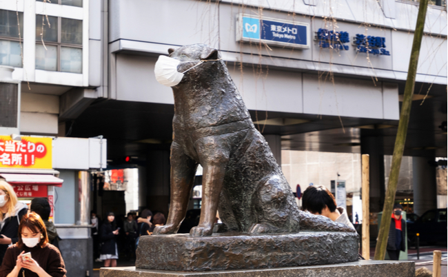 shutterstock_1673670064