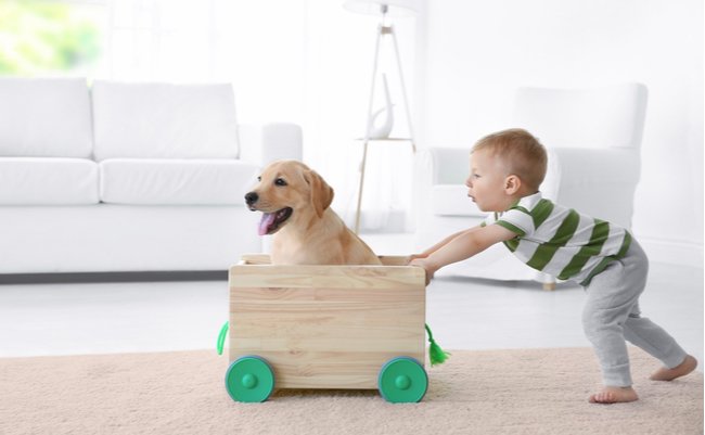 shutterstock_693483958