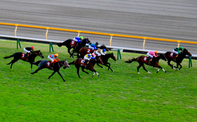 shutterstock_1189324102