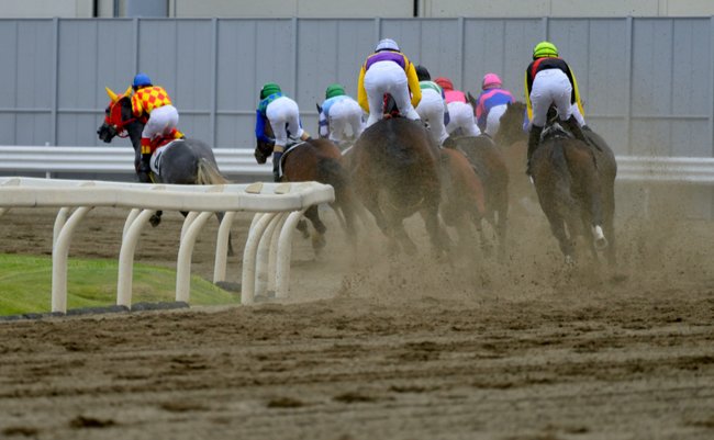 shutterstock_1204620319