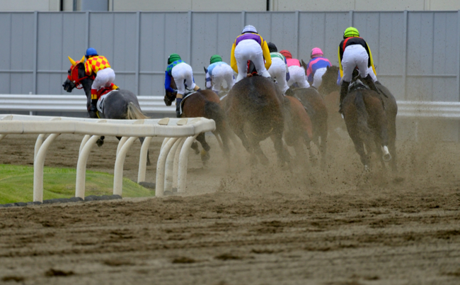 shutterstock_1204620319