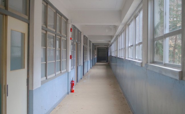 shutterstock_1277510752