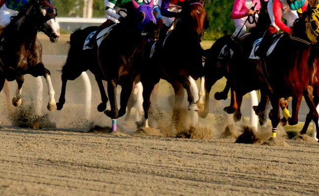 shutterstock_1564374868