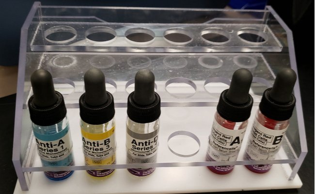 shutterstock_1675568431