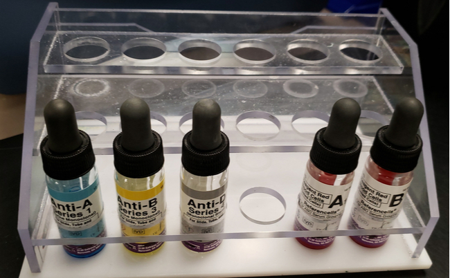 shutterstock_1675568431