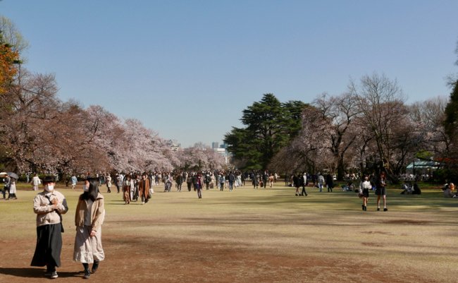外出自粛「要請」の限界か。駒沢公園や江ノ島など混雑に呆れる声