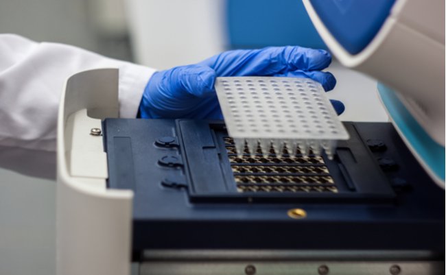 shutterstock_543024580