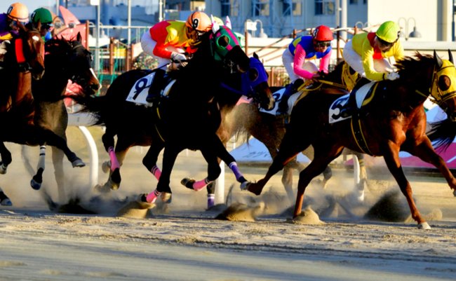 shutterstock_773198890