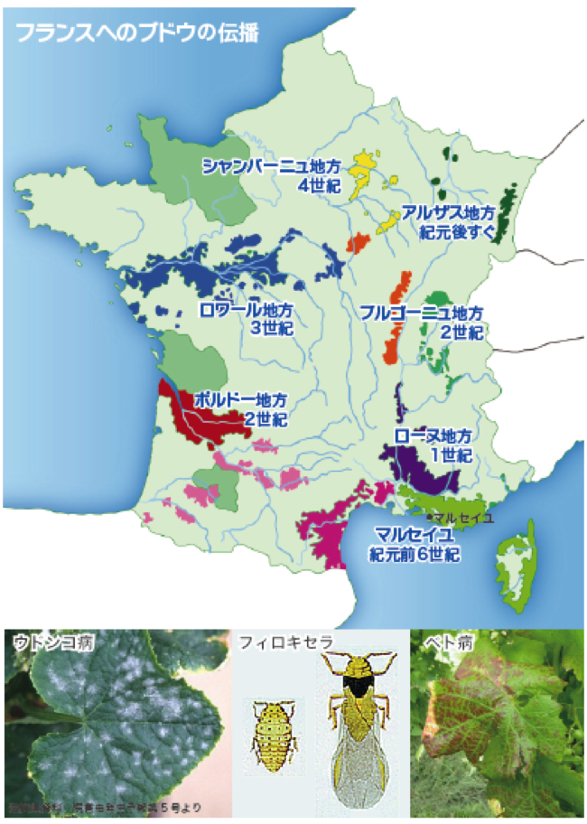 ワイン情報が分かりやすい ソムリエ目指す人必読の 地図帳 とは まぐまぐニュース