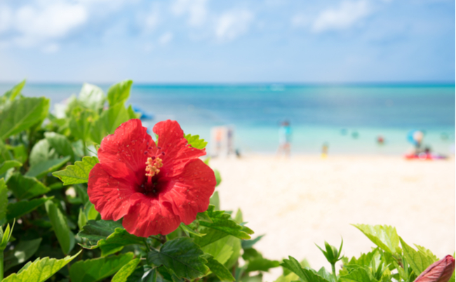 shutterstock_1397813522