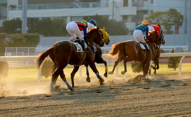 shutterstock_1564372657-2