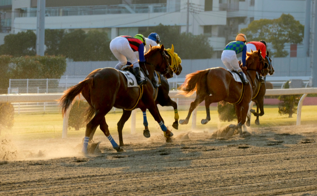 shutterstock_1564372657-2