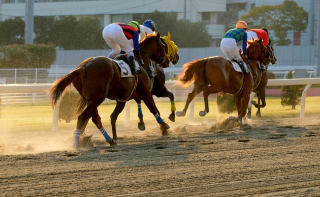 shutterstock_1564372657