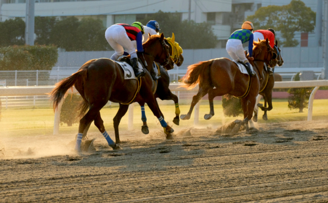 shutterstock_1564372657