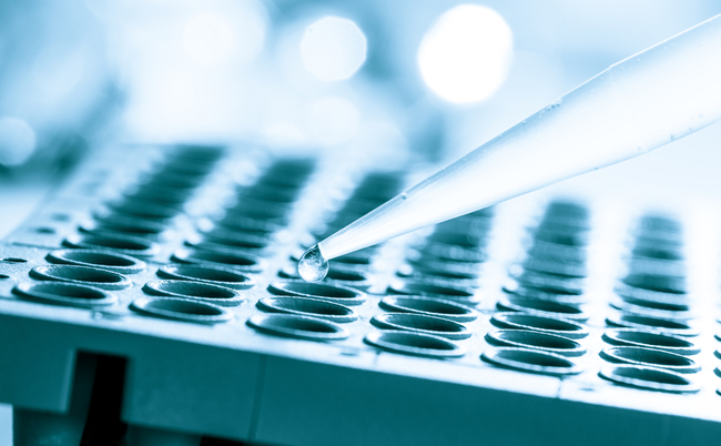 shutterstock_527667367