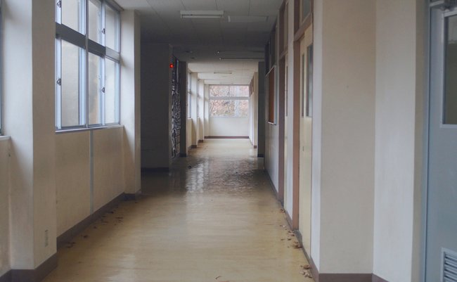 shutterstock_1277510743