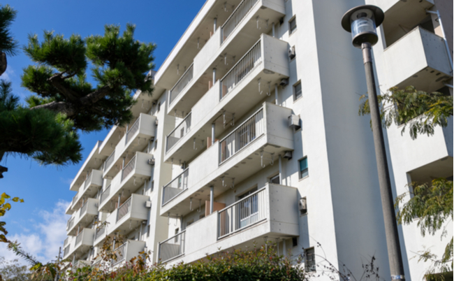 shutterstock_1626359485