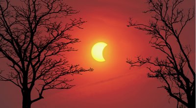 shutterstock_387893218