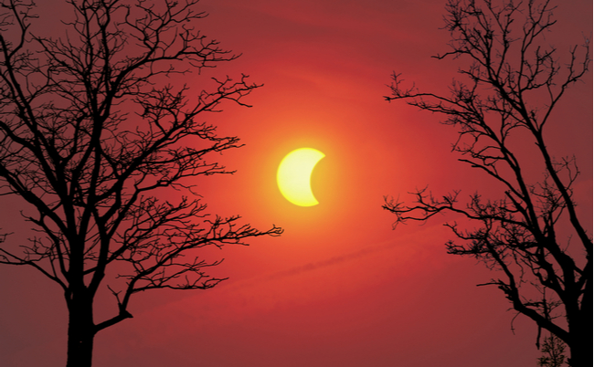 shutterstock_387893218