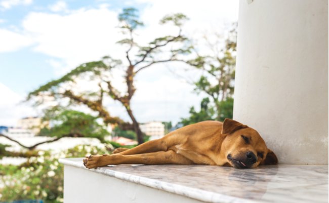 shutterstock_580736056