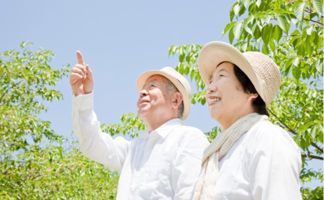 shutterstock_64352269